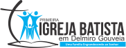 logopib.png